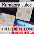 Kamagra Juice 25